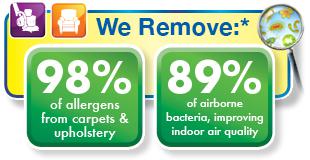 healthy carpet cleaning and upholstery cleaning