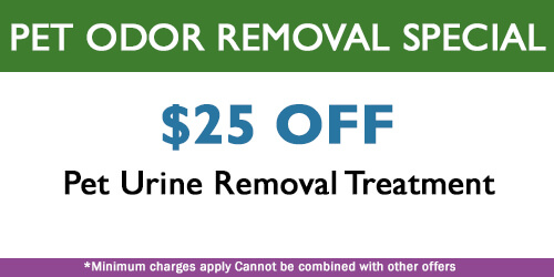 pet odor removal special