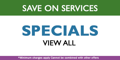 carpet cleaning specials