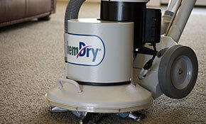 Carpet Cleaning Services Kansas City: All About Rotary Shampoo